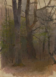 Early Spring. Forest